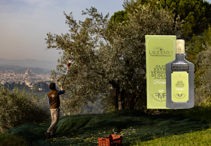 Introducing our new oil from Tuscany