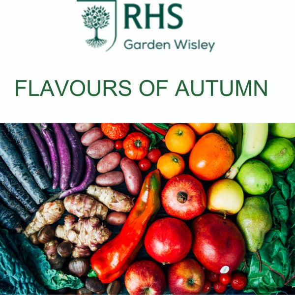 Flavours of Autumn RHS Wisley