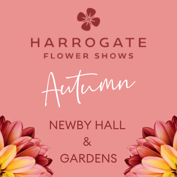 Harrogate Autumn Flower Show